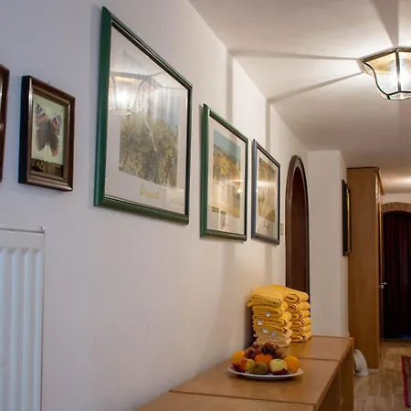 Appartement Großraumappartement Mit Gartenterrasse *
