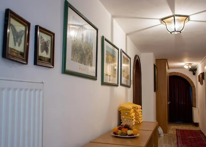 Appartement Großraumappartement Mit Gartenterrasse *