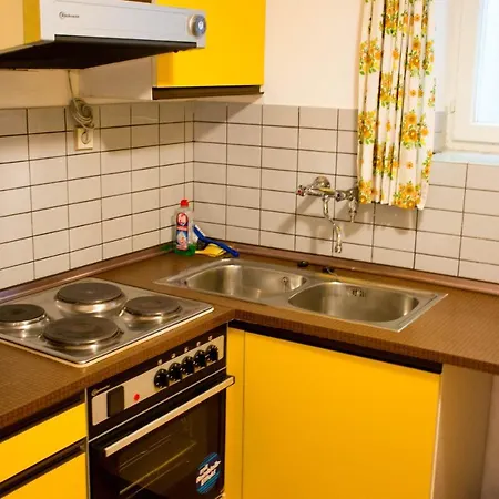 Grossraumappartement Mit Gartenterrasse זלצבורג