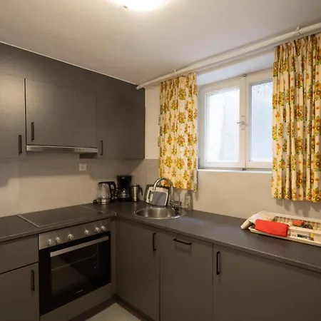 Apartment Grossraumappartement Mit Gartenterrasse Salzburg